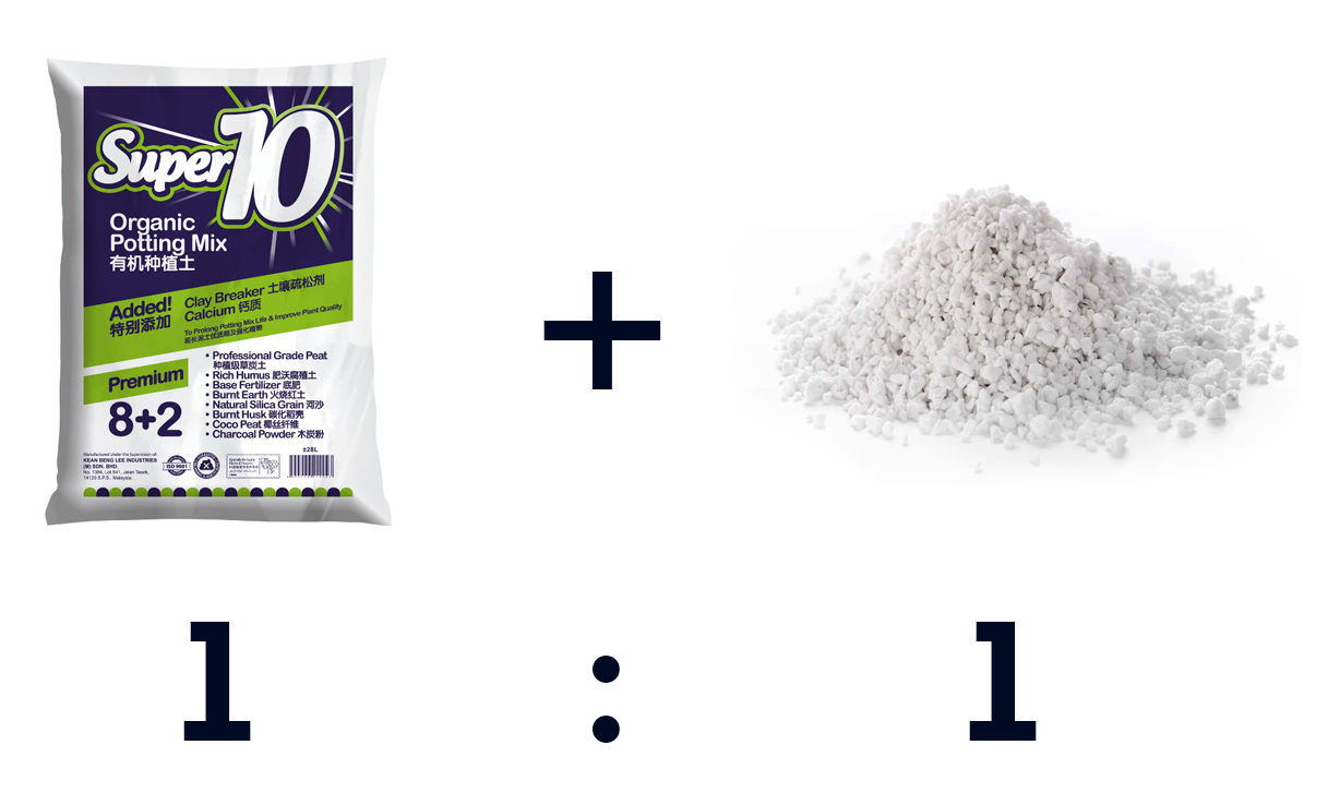 Commercial potting mix and perlite used as a simple tropical potting mix